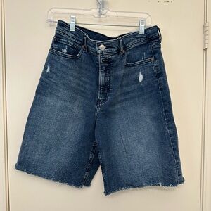 Express Dark Blue Jean Shorts